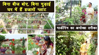 गार्डनिंग की जादूगर से सीखिए पौधे लगाने का अनोखा तरीका 😍 Learn Easy Gardening Hacks, Summer Plants