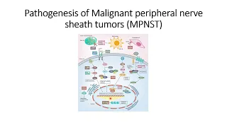 Cancer treatment approaches: (Malignant Peripheral Nerve Sheath Tumors) MPNST #Code: 208