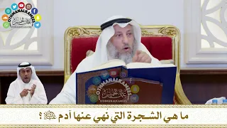 169 - ما هي الشجرة التي نُهي عنها آدم عليه السلام؟ - عثمان الخميس