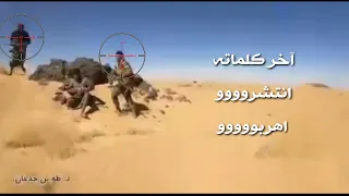 هذا ماوجدوه في كاميرا أحد قتلى الإعلام الحربي لمليشيات الحوثي بعد تحرير معسكر أم ريش جنوب مأرب