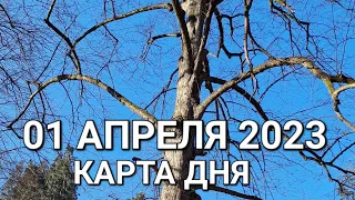 01 апреля 2023 | карта дня | все знаки зодиака 🃏🍀💫