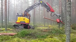 Harvester Volvo ECR145E with Nisula 555C