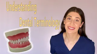 DENTAL TERMS IN SIMPLE LANGUAGE