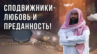 Сподвижники Пророкаﷺ - любовь и преданность! Шейх Набиль аль-Авады