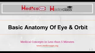 NEET PG-Basic Anatomy Of Eye & Orbit -Ophthalmology