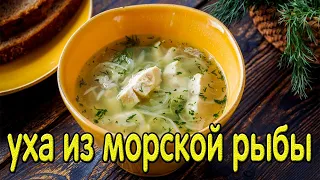 УХА из морской рыбы.Как приготовить уху из морской рыбы.