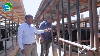 Dairy farming in Kenya: House of Hope Dairy Farm (Syokimau)