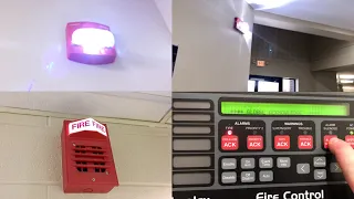 Fire Alarm Test #56
