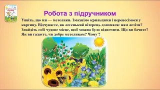 Навчання грамоти Читання Відпрацювання злитої вимови звуків дз, дз  Опрацювання тексту Краса навколо