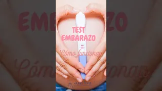 ¿Cómo funciona un test de embarazo? 🤰 ¿Son fiables?