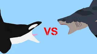 Aircraft Orca Vs Megalodon/GreatDed Animation