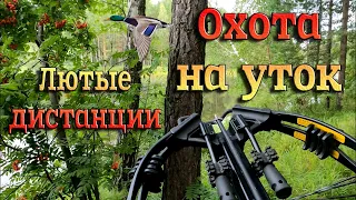 Охота на уток с Арбалетом. Жизнь меня к таким дистанциям не готовила. Эти птички заколдованы!