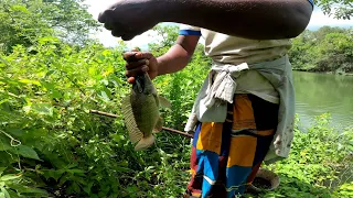 Village Fishing 🇱🇰 | Best  Sri Lanka Fishing | Traditional Hook Fishing |      Fishing In Sri Lanka