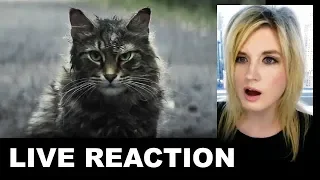 Pet Sematary Trailer REACTION