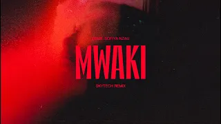 Zerb - Mwaki (Skytech Remix)