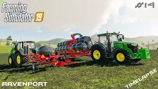 Silage bales with Anderson pack | Animals on Ravenport | Farming Simulator 19 | Episode 14