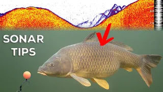 How to catch more fish with a sonar? (Deeper)