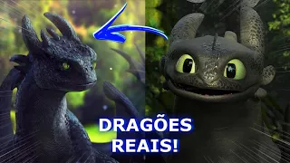DRAGÕES NA VIDA REAL! - Eles existiram? | Realistic Dragons HTTYD