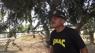 A LARGE TREE FELL FROM RGBA TO THE NEXT DOOR NEIGHBOR CHECK IT OUT  EsNews Boxing