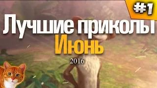 Лучшие приколы 2016 Июнь #1 Bonjour