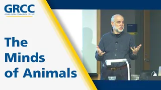The Minds of Animals: Dr. Mark Reimers, MSU Neuroscience