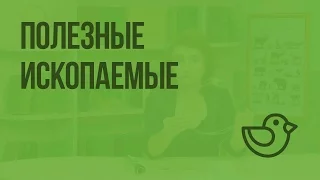 Полезные ископаемые. Видеоурок по окружающему миру 3  класс