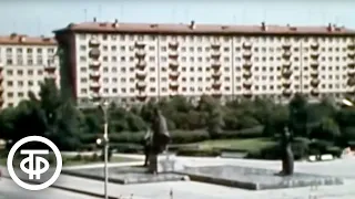 Новосибирские встречи. Цикл "Москва - Владивосток" (1975)