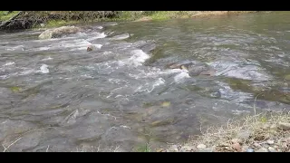Stream flows over the rocks