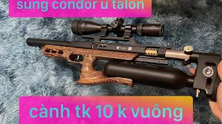 condor u talon giá rẻ - cành tk 10 k vuông - Ship toàn quốc