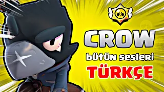 CROW BÜTÜN SESLERİ TÜRKÇE ANLAMI - Brawl Stars