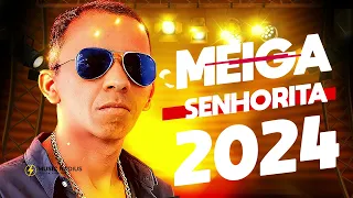 Cachorrão do Brega Meiga Senhorita 2024