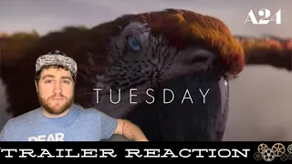 Tuesday | A24 Trailer REACTION