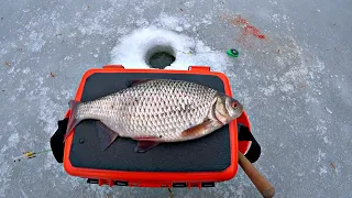 ПЛОТВА КРУПНЕЕ ЩУКИ! Рыбалка на лесном озере на мормышку и жерлицы.