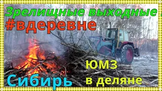 Как деревенские проводят выходные дни а что делают городские