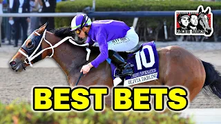 Horse Racing BEST BETS: Gulfstream Park February 3-4, 2024