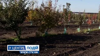 Захист саду від приморозків