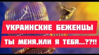 Украинские беженцы ты меня,или я тебя??!#жизнь в Испании#беженцы#украинские беженцы в европе#