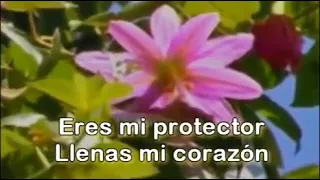 Eres mi protector   Maranatha Music