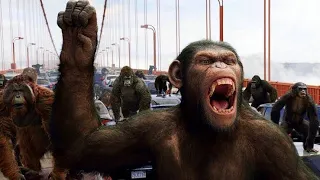 تجربه بتخلى القرود ذكيه وبيبداو التمرد على البشر | ملخص فيلم Rise of the planet of the apes