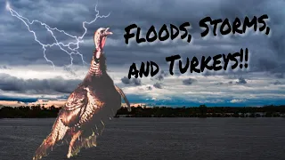 MO. Public land Turkey Hunting/Fighting flooding & Storms