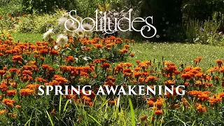 Dan Gibson’s Solitudes - Spring Awakening | Spring Awakening