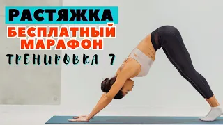 БЕСПЛАТНЫЙ МАРАФОН ПО РАСТЯЖКЕ / ТРЕНИРОВКА 7