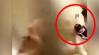 Top 15 Scary Videos that are Freaking Viewers Out