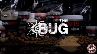 THE BUG – THE INSECT-MEAL BAIT! DNA BAITS, carp fishing, fishing bait