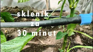 Závlaha skleník ,kapková, za 500 korun, 30 minut #water #garden #homemade