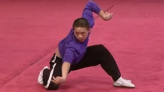 Praying Mantis Style - Instructional Wushu Form - 螳螂拳