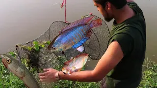 FISHING for my Aquarium & Trapped Fish Rescue! | *RAINBOW Fish FOUND!!*