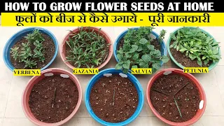 फुलों के बीज कैसे ग्रो करें | How To Grow Flower Seeds At Home (FULL UPDATES)