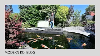 Modern Koi Blog #4871 - Eine Wasseranalyse an Wolfgangs Koiteich