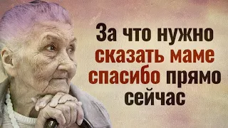 За что нужно сказать маме спасибо прямо сейчас